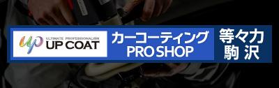 カーコーティングPRO SHOP 等々力 駒沢